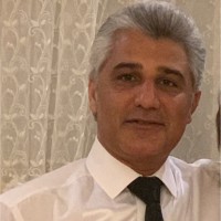 Hamed Pourahmad