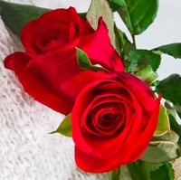 Tashkeen Hussain