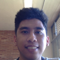 Jhun Heinrich Domingo