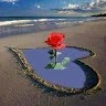Tamin Hussain
