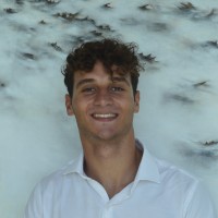 Mario Coppola