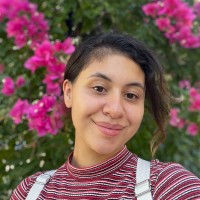 Laura Isabel Ortiz vega