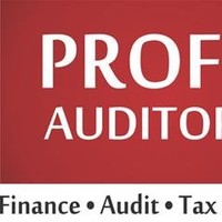 PROFIT AUDITORES