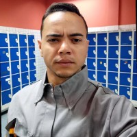 Luiz Sergio Alves De Paula