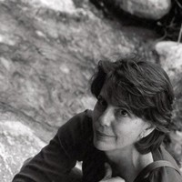 Terri Lauerman