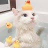 Eunbi Undefined