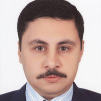 Tarek Rashed