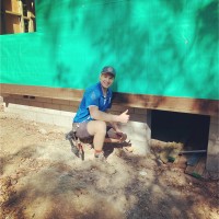 Sam Bernard Greentree