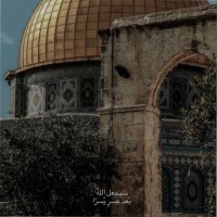 Safa Alhussein