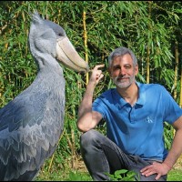 Javier Gimeno Martínez