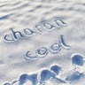 charan narayan
