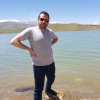 Seyedamir Mostafavi