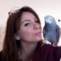 christine/alexine jeandel