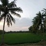 Kani Eniyan