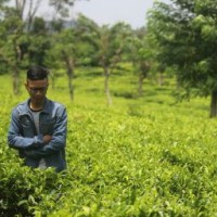 Abdul Basir