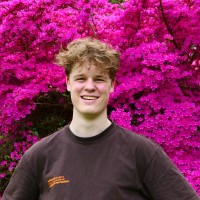 Hidde Voorintholt