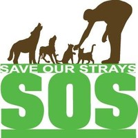 Save Our Strays Penang, Malaysia