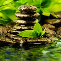 Jenny Fitzgerald