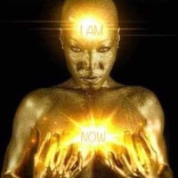 Soulbird Spiritual Healings