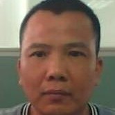 王晓清