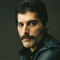 Freddy Hg