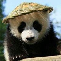 刘少清