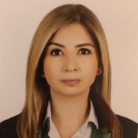 HANDE ARICA
