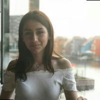 Walaa Hejazi