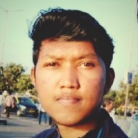 Vignesh A P