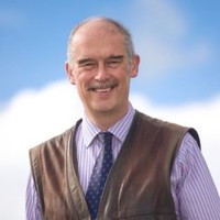 Neil Mclean
