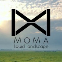 MOMA Liquid Landscape