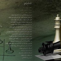 reza mohaghegh