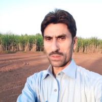 Muhammad Shafiq