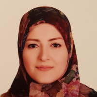 Mitra Aminlu
