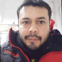 Jaime Mardones Armas