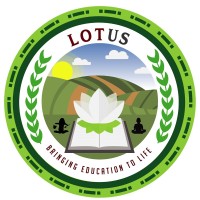 Lotus Chicago