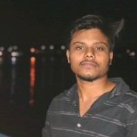 Niraj Ray