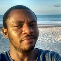 Ricardo Luiz Lisboa Souza Ferreira De Melo