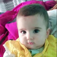 Shaima Mohammadi