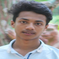 Md Rabbi