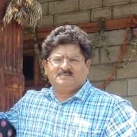 V K Sharma