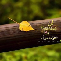 سمر الالمعي