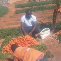 Saidou dit Maichanou Tanko Moussa