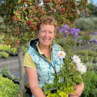 Rosemary Hardy