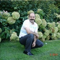 Mehdi Farahani