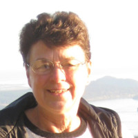 Shirley Woods