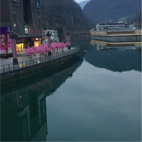 杨晓林