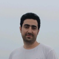 mohammad hosein Farani