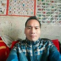 刘英红