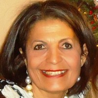 zena amer